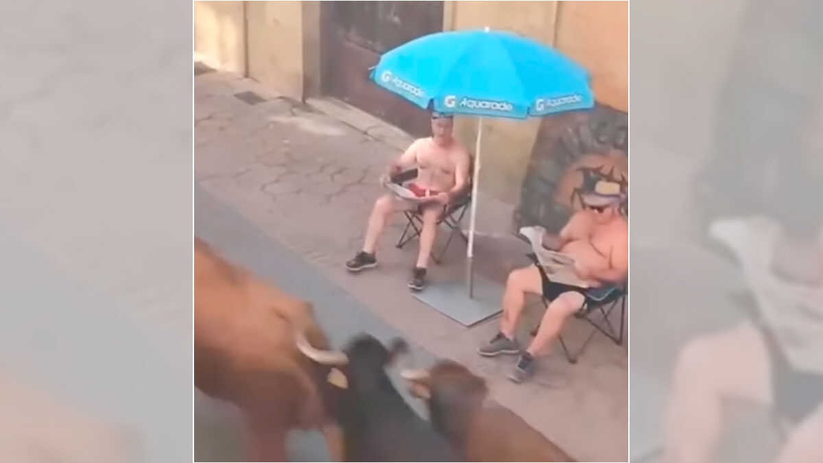 L’insolite tranquillité de deux membres d’une peña d’Ejea face aux taureaux : « Ça, c’est farmer de l’aura »