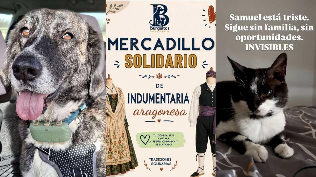 Le marché solidaire de Saragosse pour compléter sa tenue traditionnelle du Pilar et aider à sauver des animaux