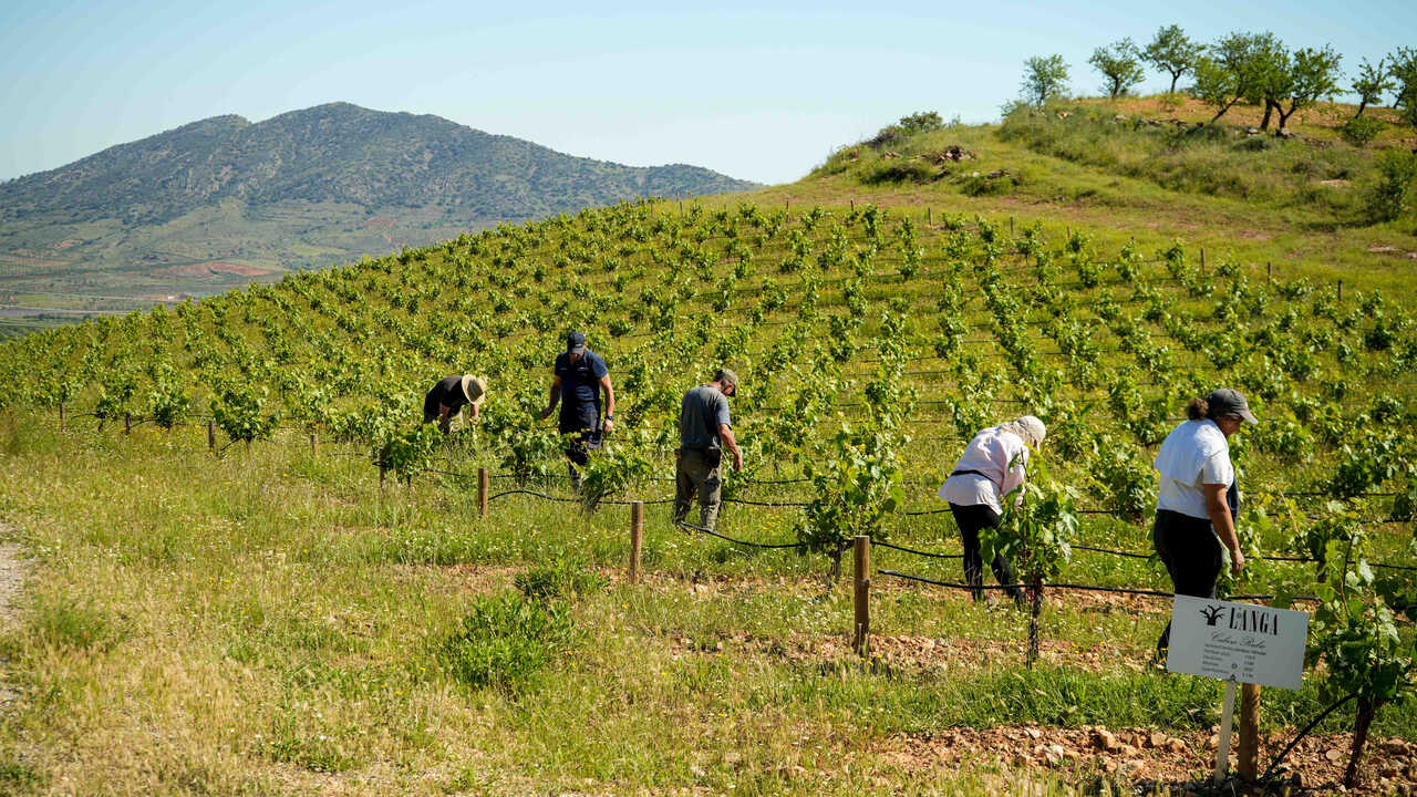 L’AEGA menace de redescendre dans la rue : « Le monde agricole aragonais est en chute libre »