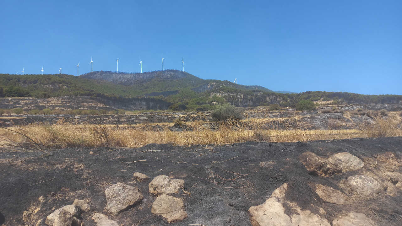 Plus de budget contre les incendies, mais ASAJA Aragón réclame un soutien direct au secteur agricole