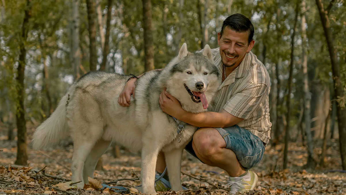 Hero, le husky de Saragosse qui recommence à voir la lumière après des mois de maladie : « Ses poumons sont presque propres »