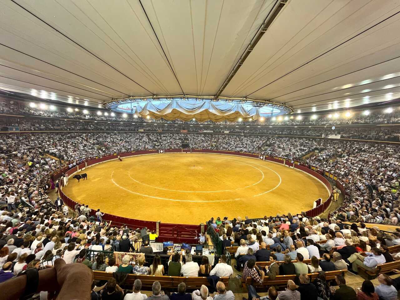 Nouvelle offre d’emploi à Saragosse : 150 postes pour travailler pendant la Feria taurine