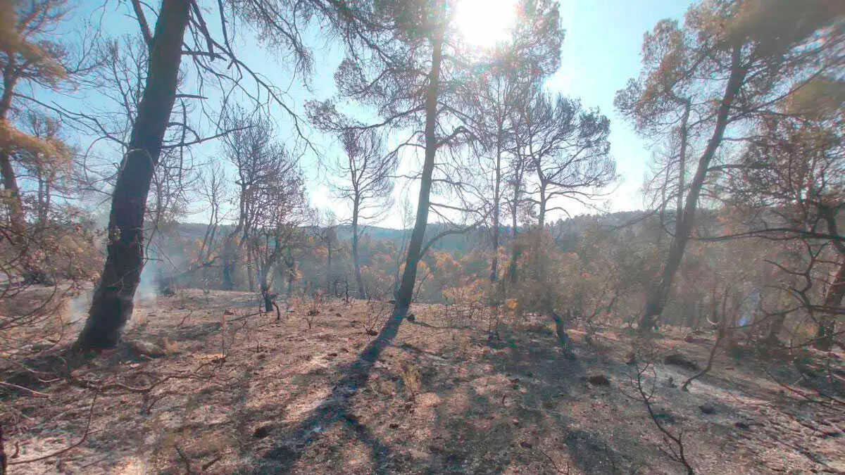 Le gouvernement déclare cinq zones d’Aragon sinistrées après les incendies de cet été