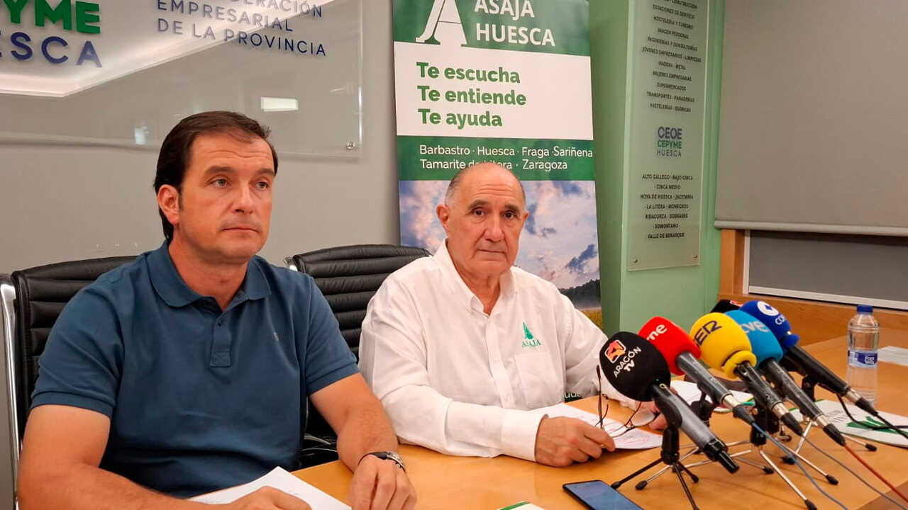 Les coûts asphyxient l’agriculture aragonaise : jusqu’à 40 % des terres non irriguées pourraient rester non semées