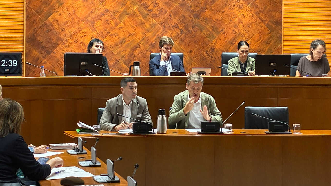 Le Cermi Aragón réclame huit garanties pour que la nouvelle loi sur le logement soit réellement accessible