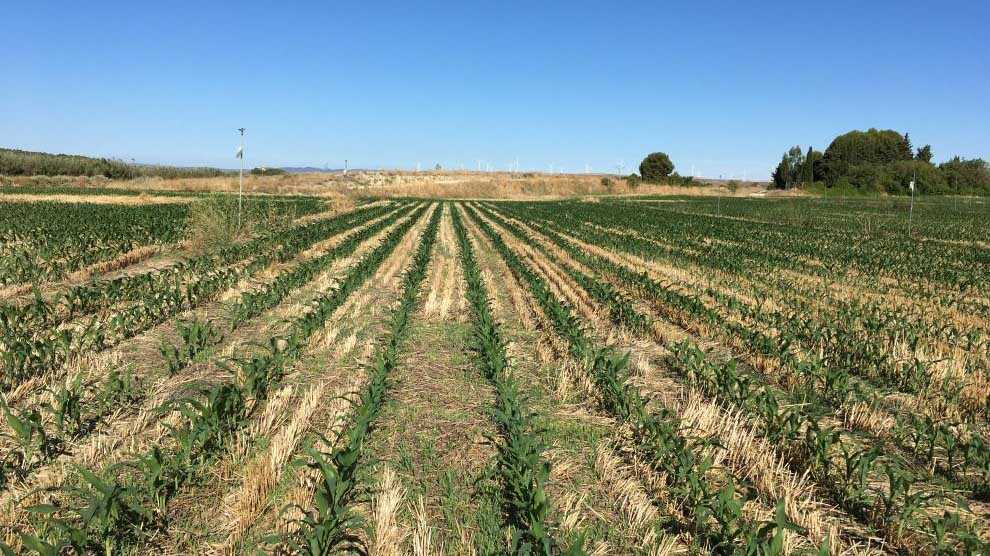 Eau, émissions et changement climatique : le CITA réunit à Walqa les grands défis de l’agriculture aragonaise