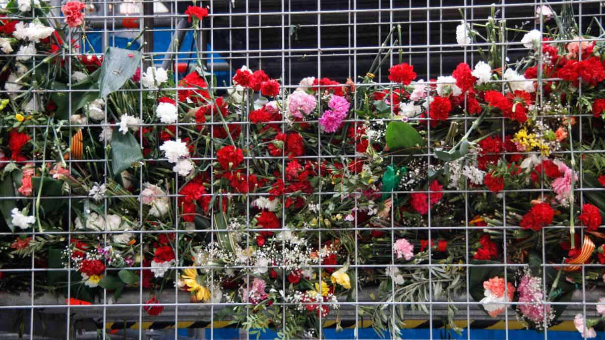 Que deviennent les fleurs de l’Offrande du Pilar après leur retrait ? Leur destin va vous surprendre