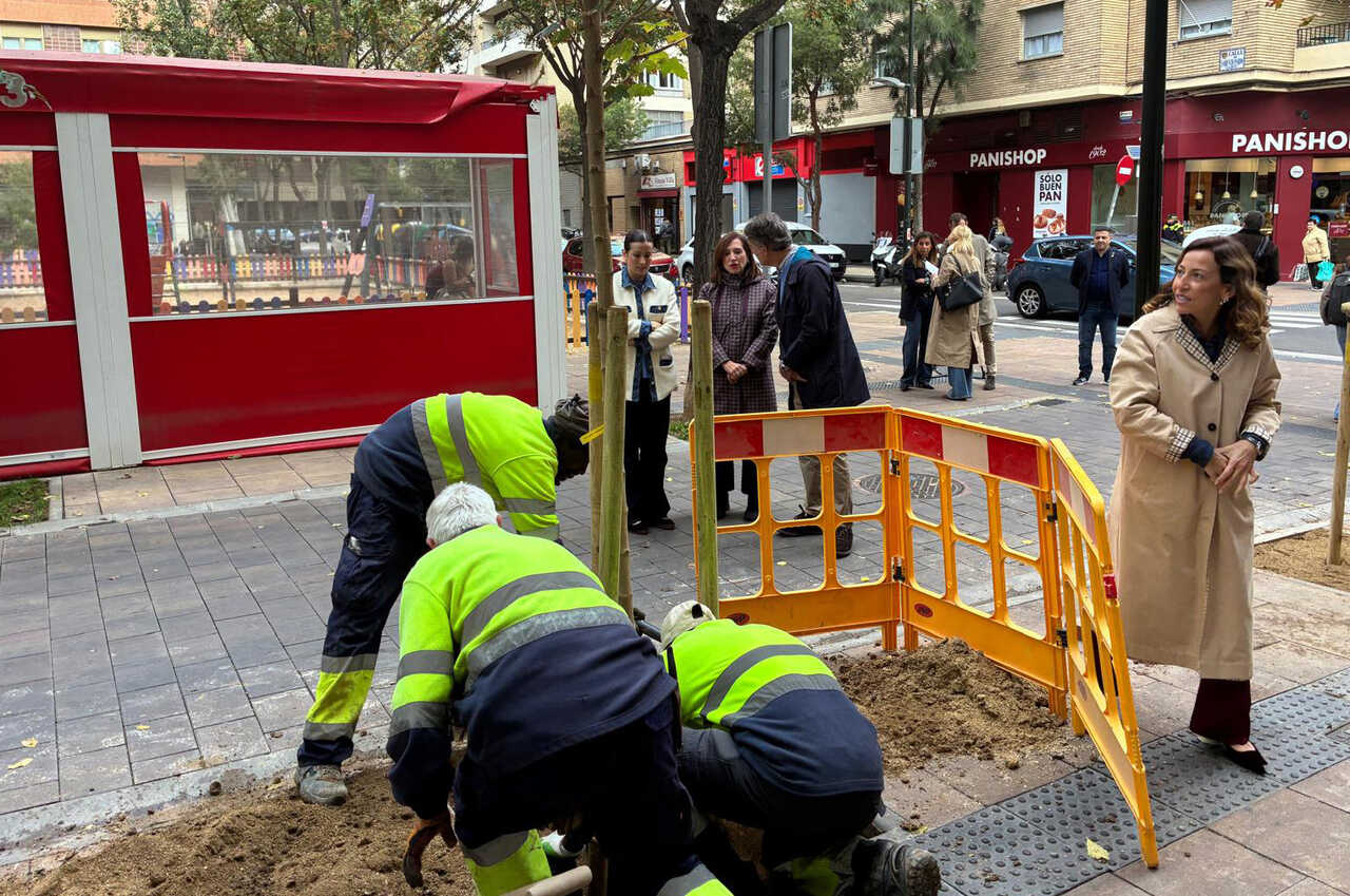 Zaragoza plantera plus de 5 300 arbres en 2026 et se fixe un objectif « record » pour 2027