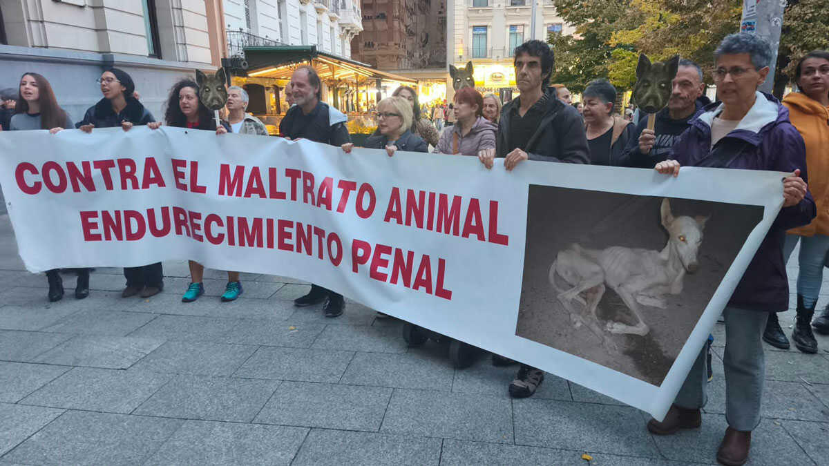 « Nous voulons des fêtes sans maltraitance animale » : une cinquantaine de personnes protestent après la mort d’un sanglier à Saragosse