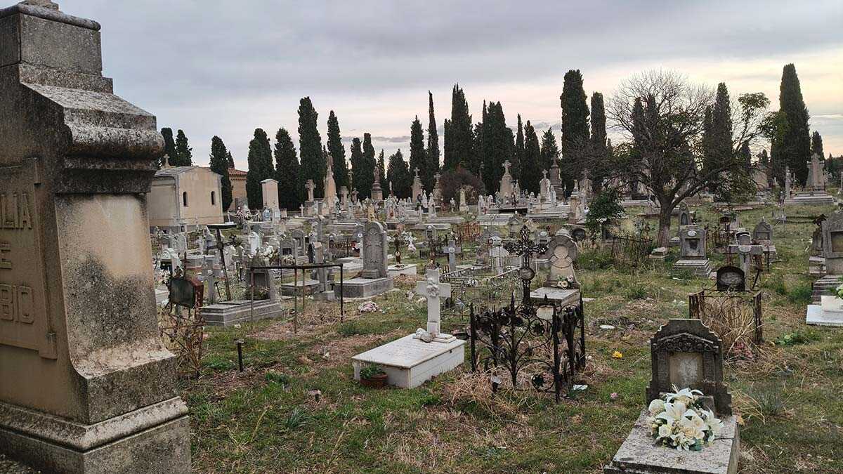L’arbre de Saragosse où déposer ses peurs écrites sur un ruban le 1er novembre
