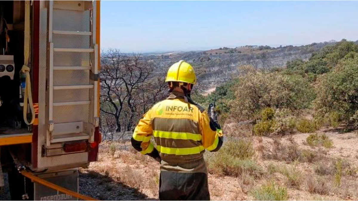 Des aides de 550 000 euros pour indemniser les éleveurs touchés par les incendies de l’été
