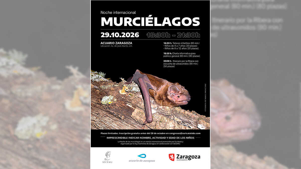Saragosse célèbre la Nuit des chauves-souris pour faire connaître les bienfaits de ces mammifères