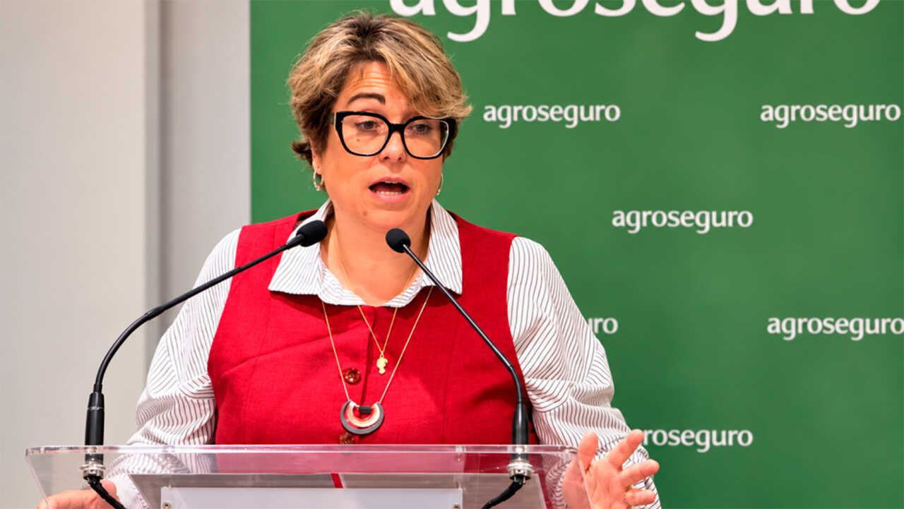 Aides aux assurances agricoles en Aragon : 13 millions d’euros en 2027